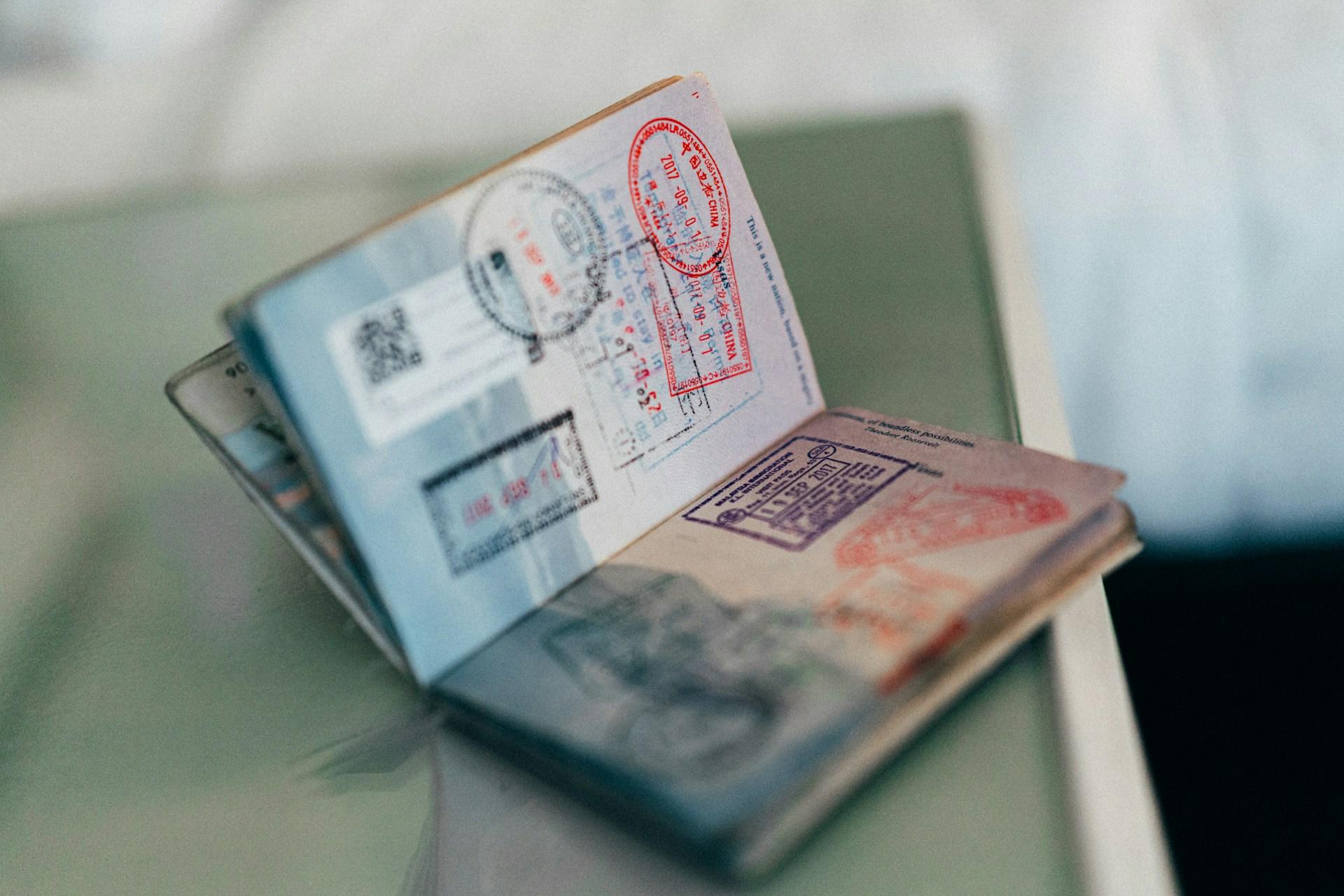 Passport, supporting documents and biometric data for a visa application